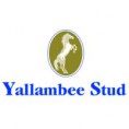 Yallambee Stud (Peter Woodard)